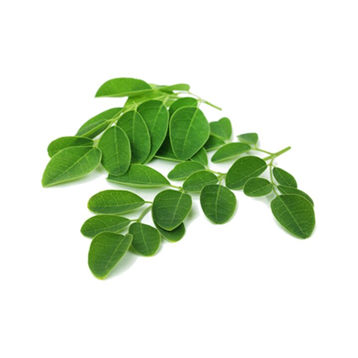 Normadex contains moringa leaf - a powerful natural anti-parasite remedy