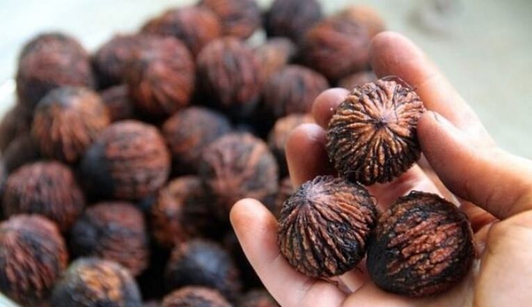 Black walnuts from the parasite